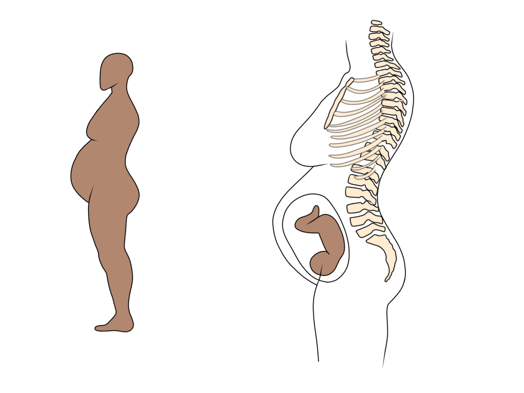 Pregnancy Posture